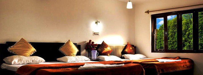 865/Royal Pearl Hotel - Srinagar 06.jpg